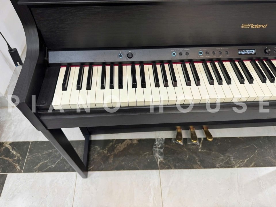 ROLAND LX-708 CB (New) - Ảnh thực tế 3